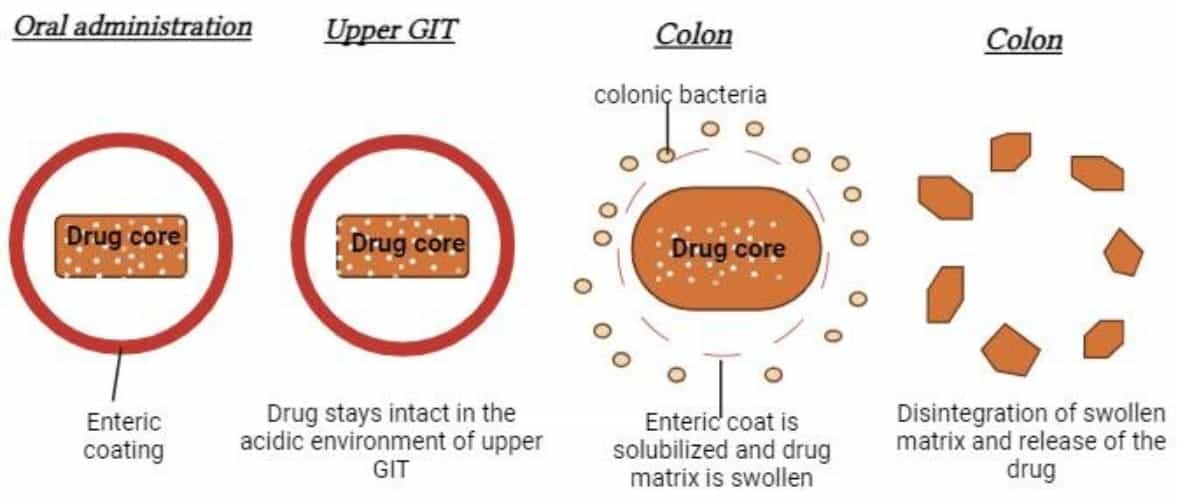 How Does Enteric Coating Work